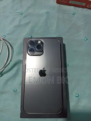 Apple iPhone 13 Pro Max (Used)