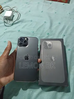 Apple iPhone 13 Pro Max (Used)