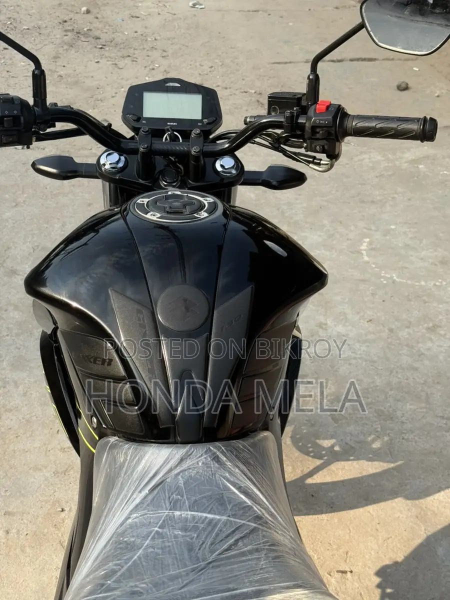Suzuki Gixxer FI ABS 2024 Model