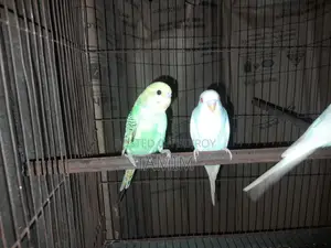 বাজিগর