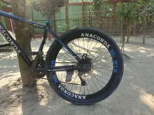 Bicycle for Sale