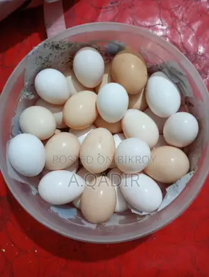 ফ্রেশ দেশি মুরগির ডিম