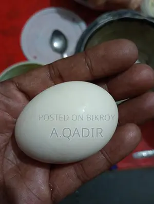 ফ্রেশ দেশি মুরগির ডিম