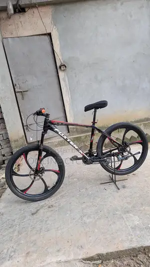 Foxter Hunda Ring Cycle