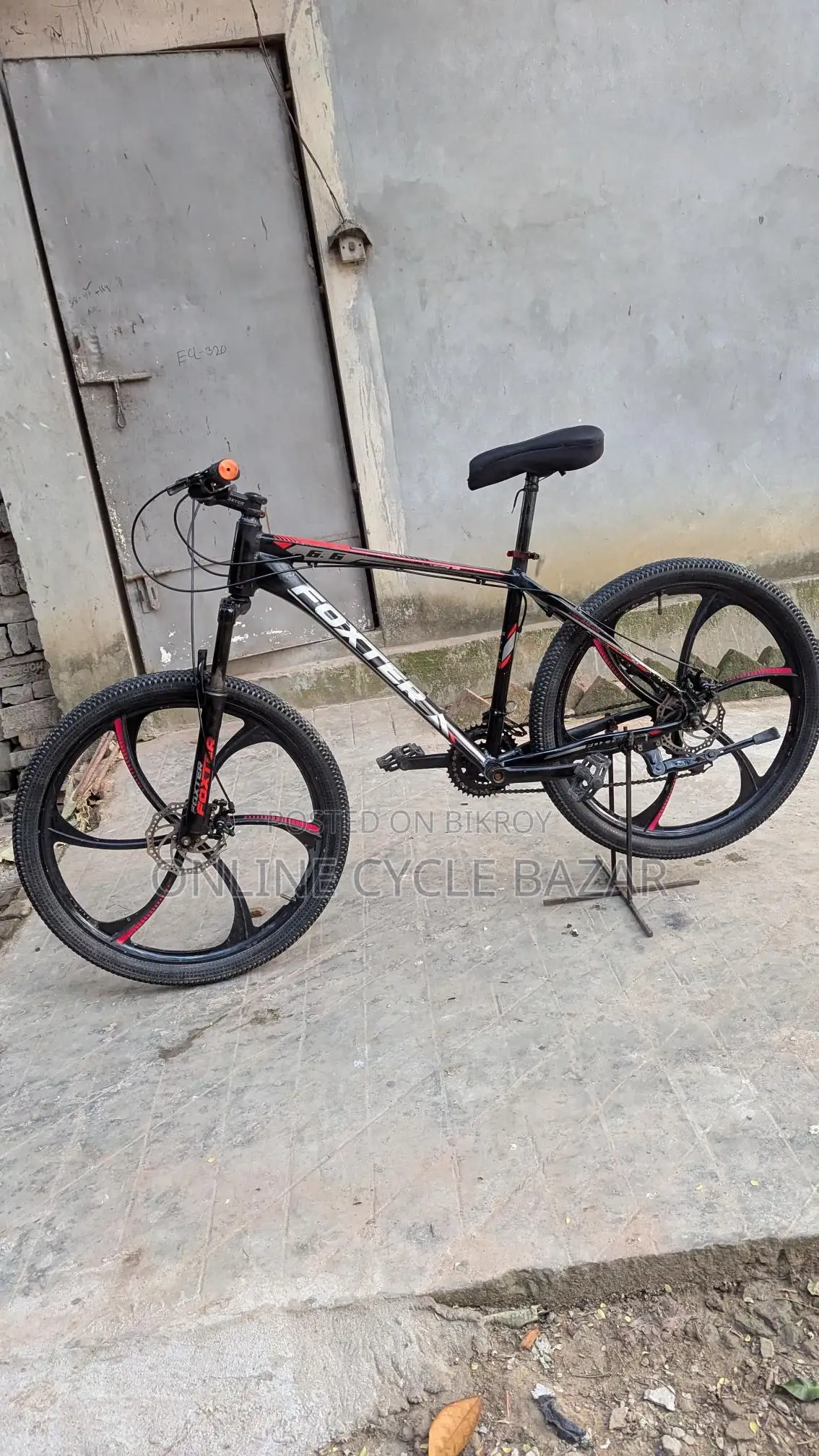 Foxter Hunda Ring Cycle