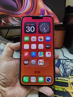 Apple iPhone 13 Pro Max (Used)