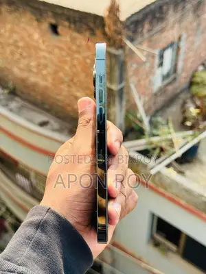 Apple iPhone 13 Pro Max (Used)