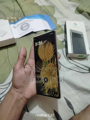 Google Pixel 6 Pro ২০২৫ (Used)