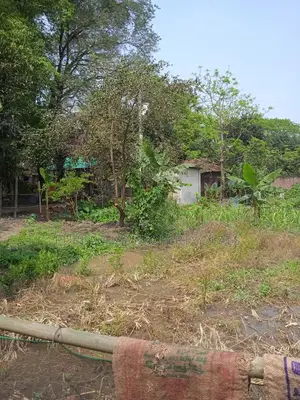 6 Decimal Land Near Metro Rail in Rupganj | Future Smart Investment!