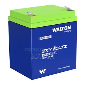 Walton Rechargeable 12v Battery