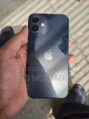 Apple iPhone 12 (Used)