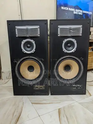 Akai T70 12 Inch Speakers Made in Japan
