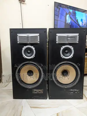 Akai T70 12 Inch Speakers Made in Japan