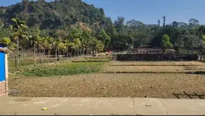 Land for sale at a low price near Cox's Bazar Marine Drive Road.