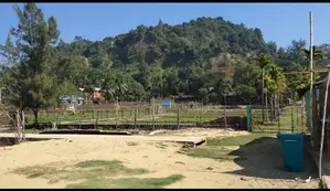 Land for sale at a low price near Cox's Bazar Marine Drive Road.