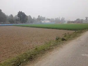 Land for Sale Advertisement in Solanga, Sirajganj (Near RAB-12)