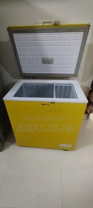 Minister Brand Deep Freezer