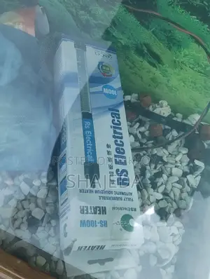 ফিশ ট্যাংক সাথে কাঠের স্টান্ড।