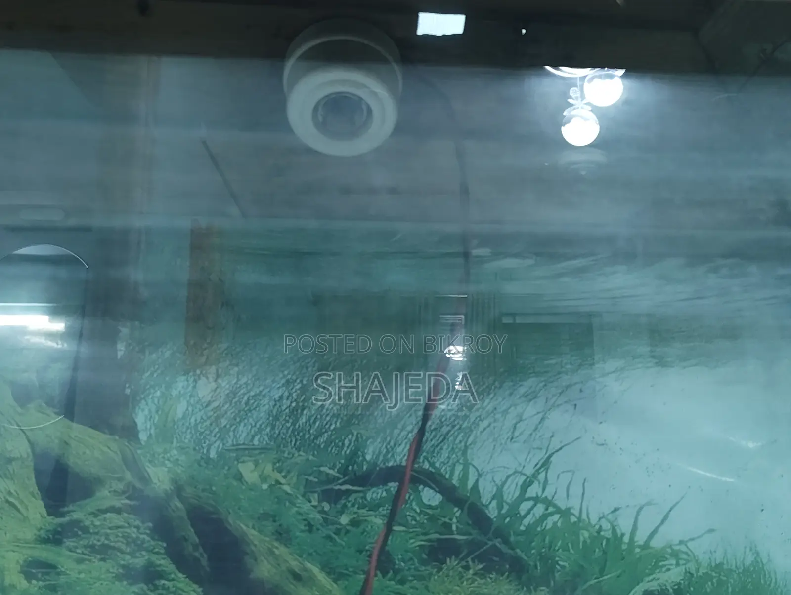 ফিশ ট্যাংক সাথে কাঠের স্টান্ড।