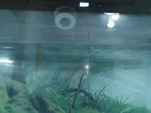 ফিশ ট্যাংক সাথে কাঠের স্টান্ড।