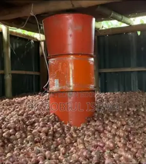 Is your onion rotting? Here is the solution