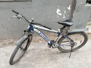 Express Bicycle for Sale