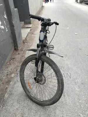 Express Bicycle for Sale
