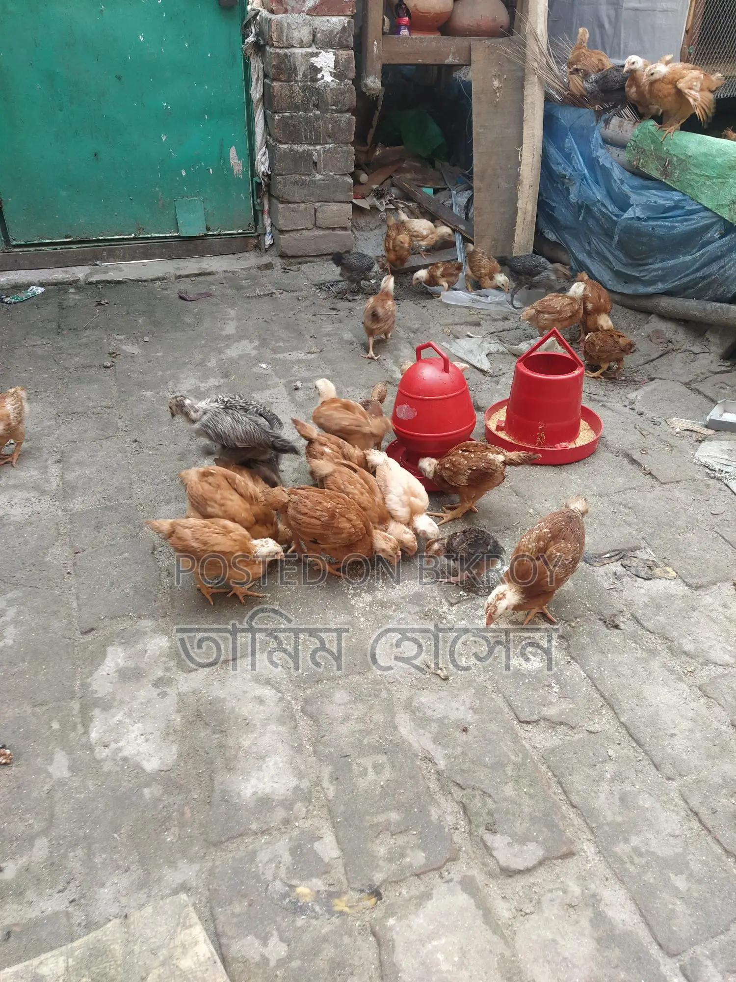 Original Tiger Chicken