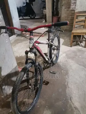 Used bicycle in like-new condition. Feel free to inspect.