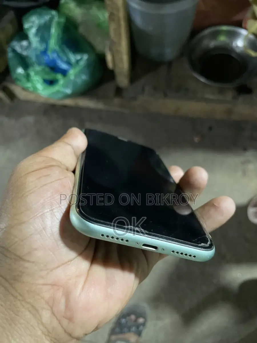 Apple iPhone 11 2022 (Used)