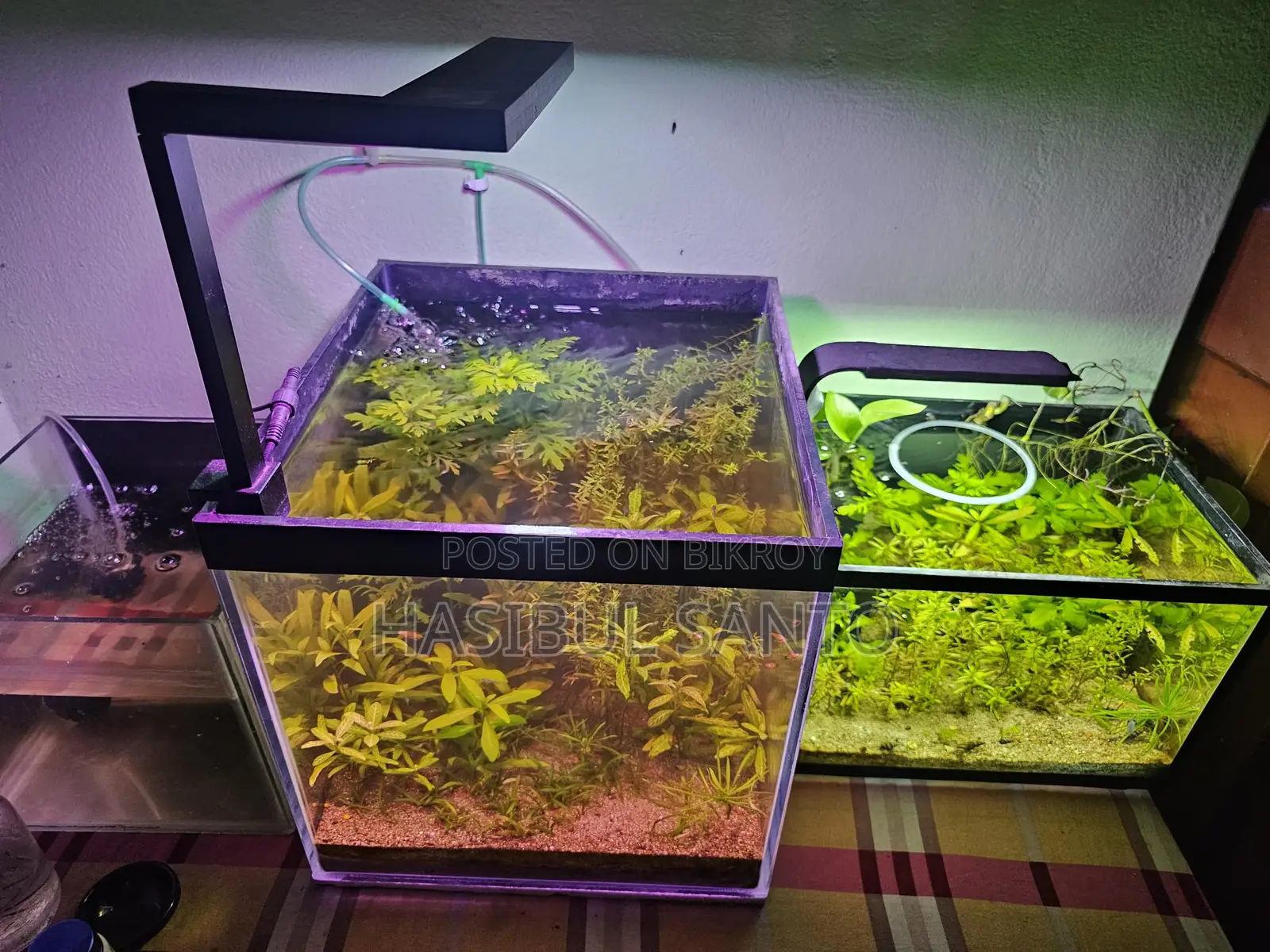 Aquarium Planted Crystal 6mm