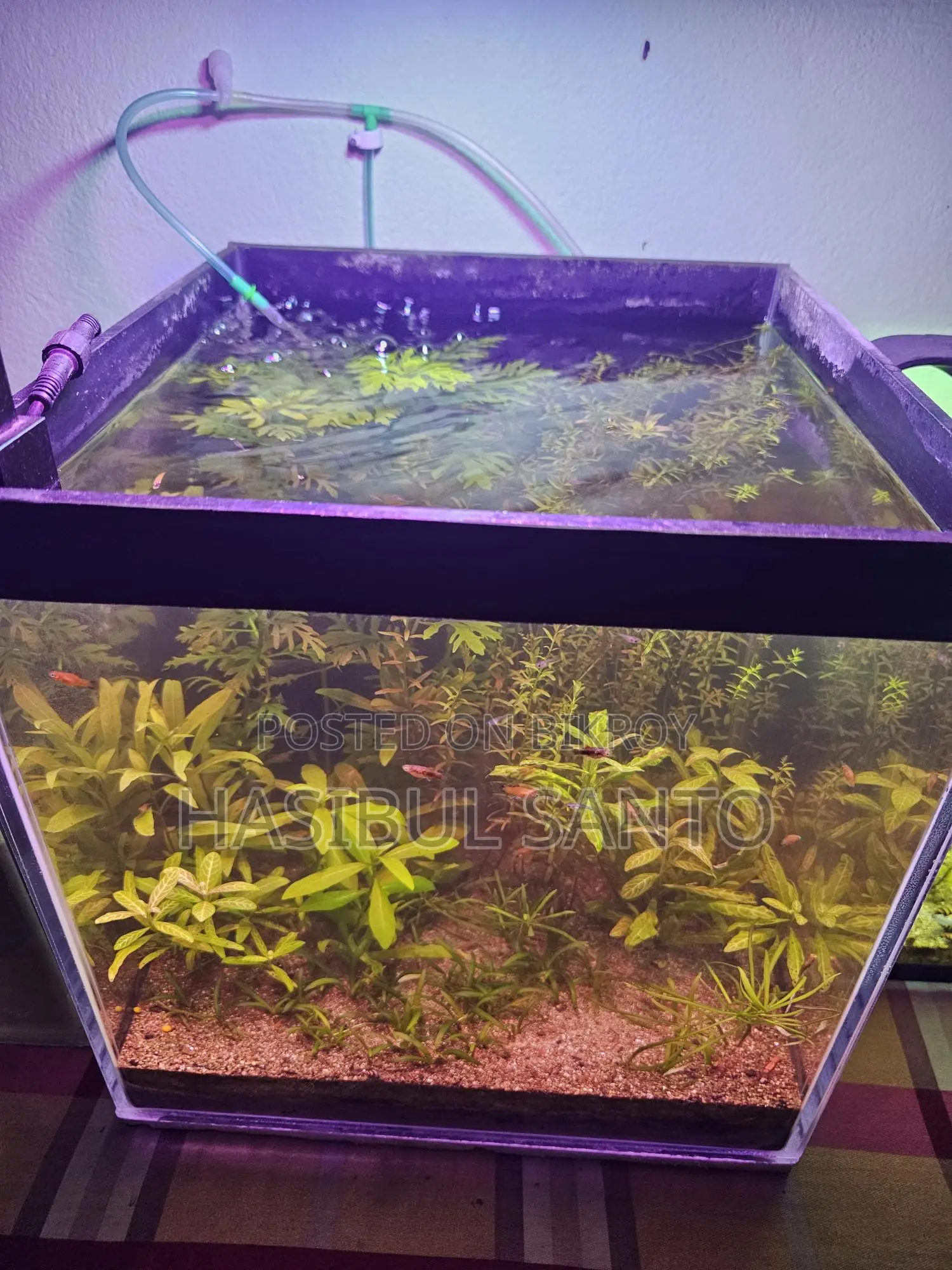 Aquarium Planted Crystal 6mm