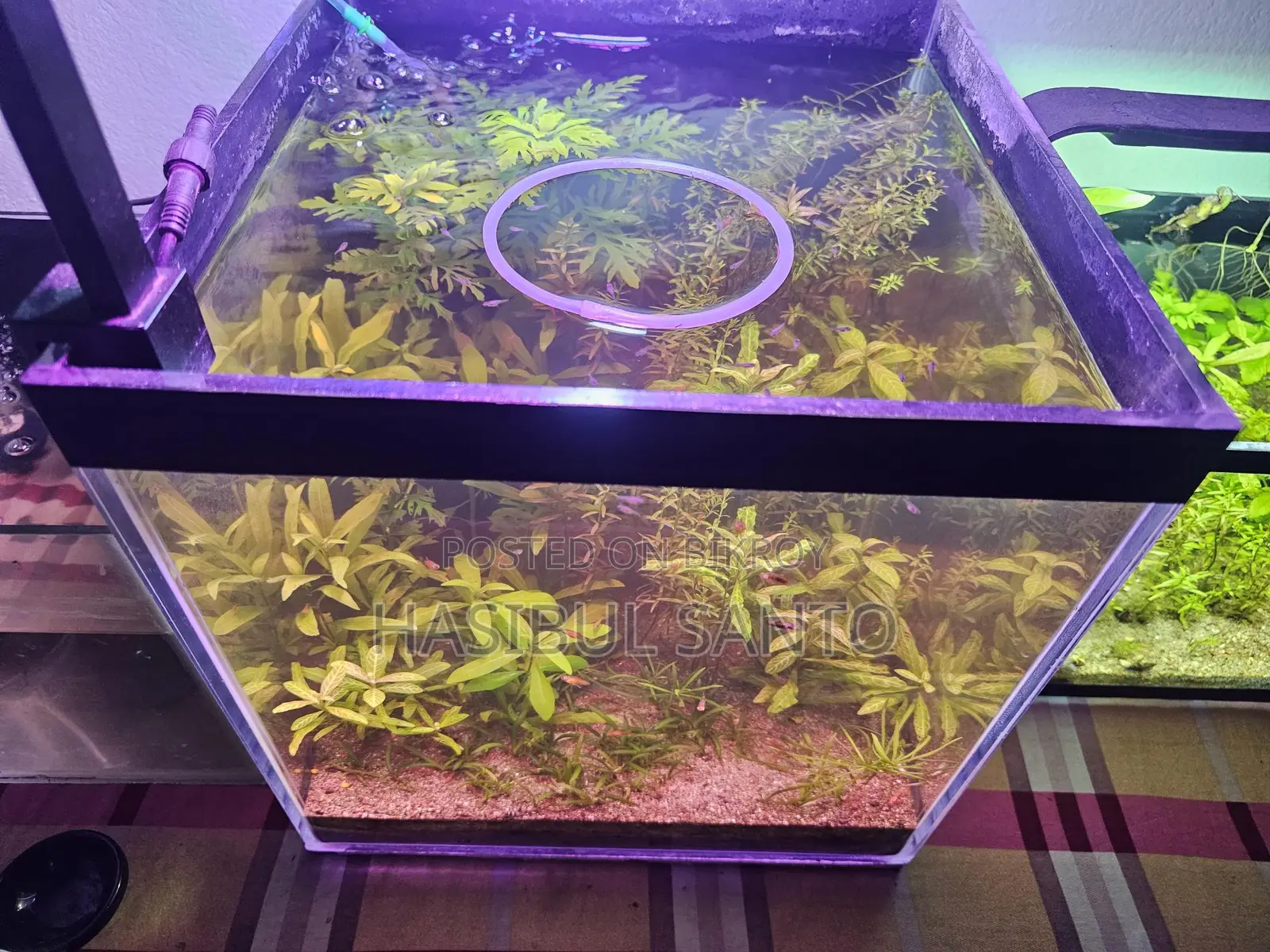 Aquarium Planted Crystal 6mm