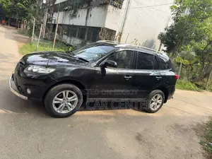Hyundai Santa Fe 2011