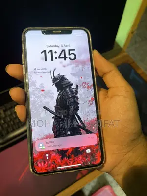 Apple iPhone XS Max (Used)