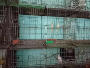 পাখির খাঁচা বিক্রয় করা হবে