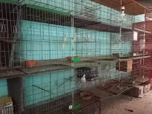 পাখির খাঁচা বিক্রয় করা হবে