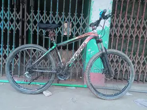 Used Phoenix Bicycle for Sale