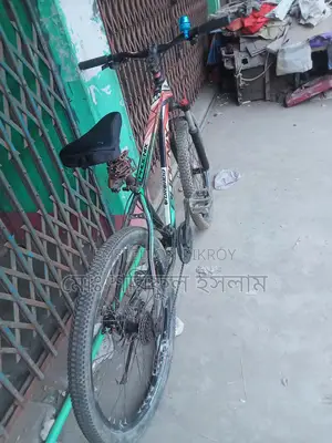 Used Phoenix Bicycle for Sale
