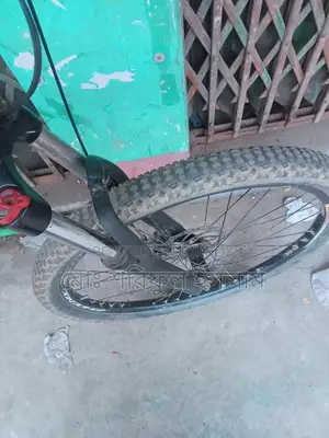 Used Phoenix Bicycle for Sale