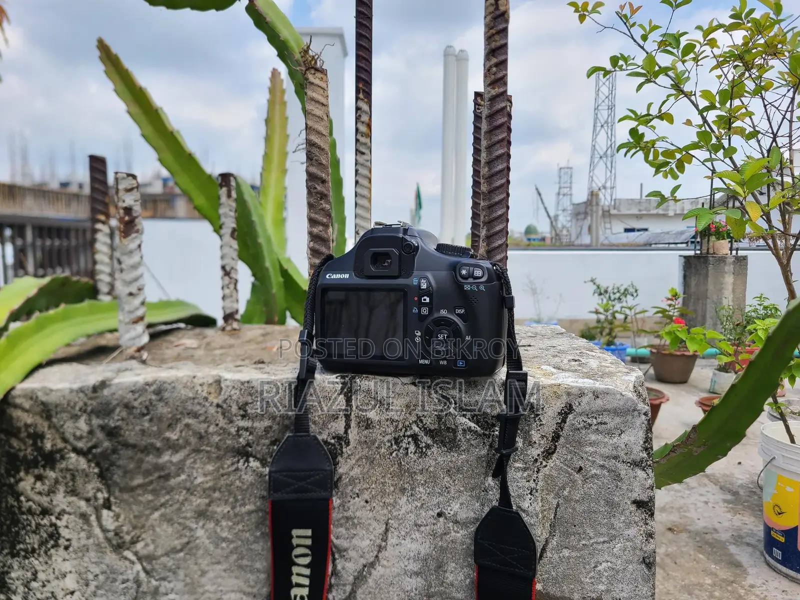 Canon Camera