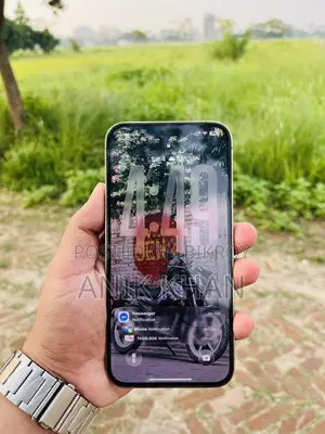 Apple iPhone 13 Pro Max (Used)