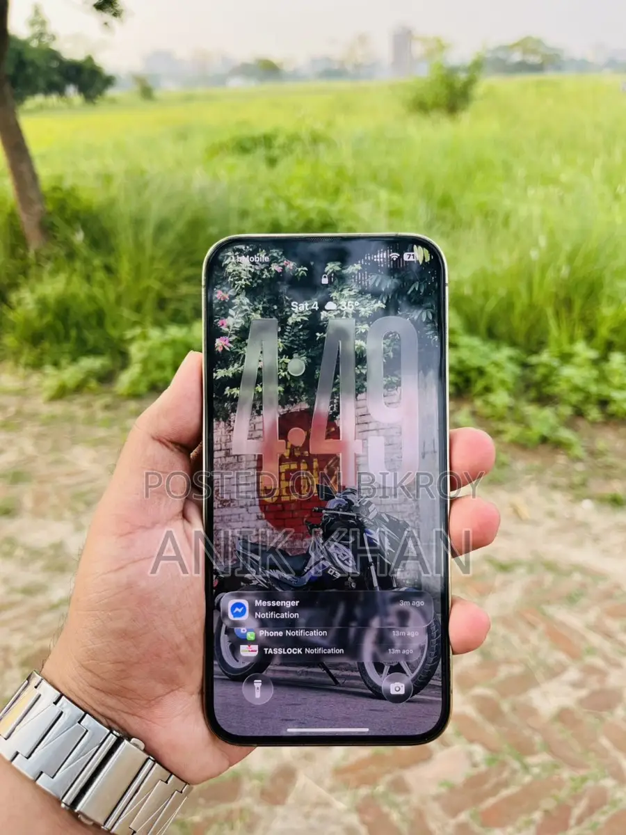 Apple iPhone 13 Pro Max (Used)