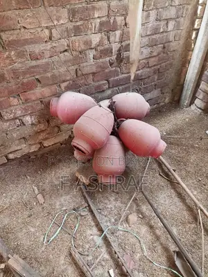 ব্রয়লার মুরগির পট শীট