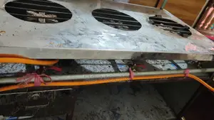 রেস্টুরেন্টের চুল