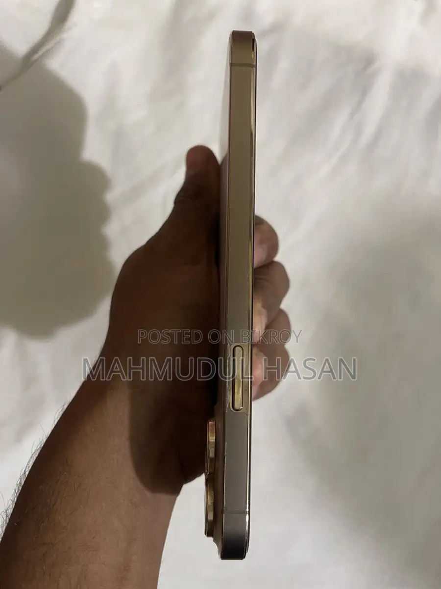 Apple iPhone 13 Pro Max (Used)