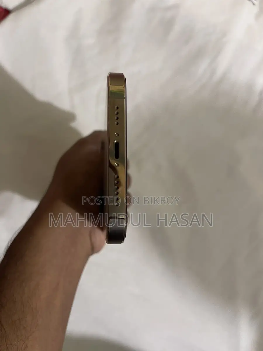 Apple iPhone 13 Pro Max (Used)
