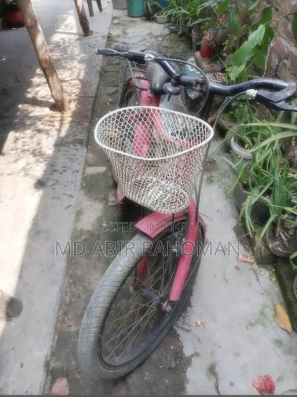 Bicycle for Sale