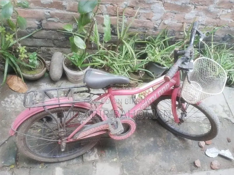 Bicycle for Sale