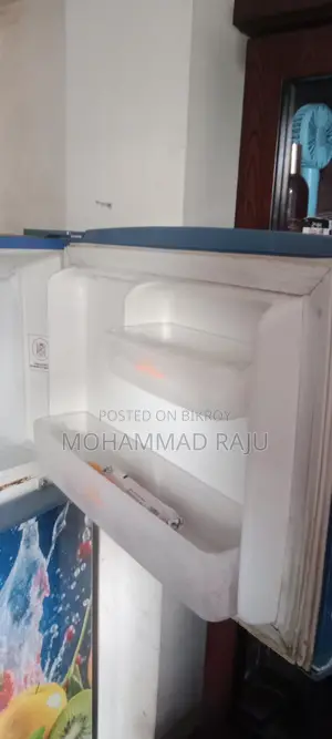 Singer Fridge